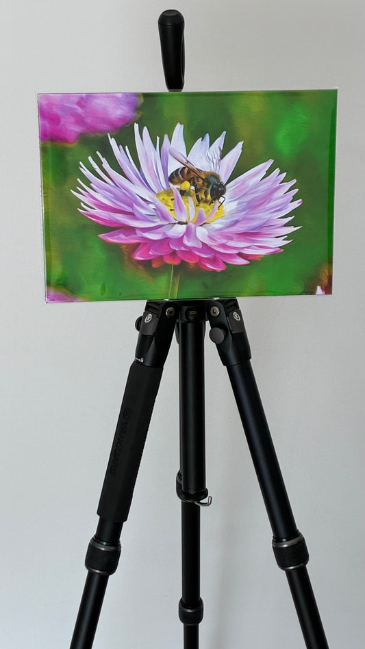 Bee Happy, the Western Honey Bee and Daisy