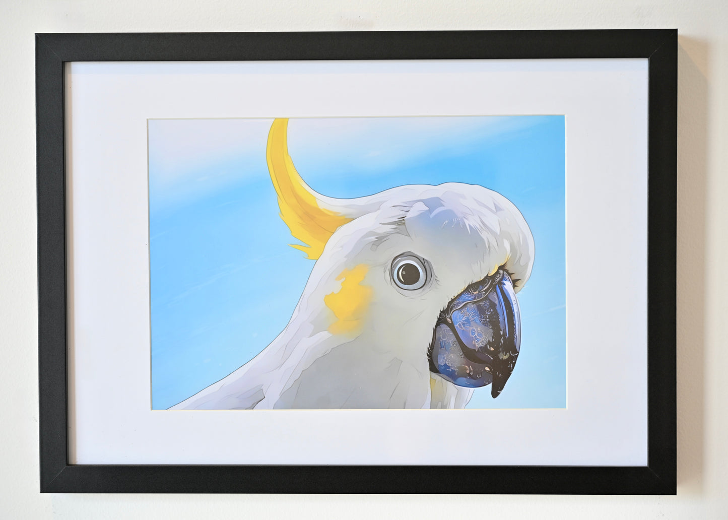 Cookie, the Sulphur-Crested Cockatoo