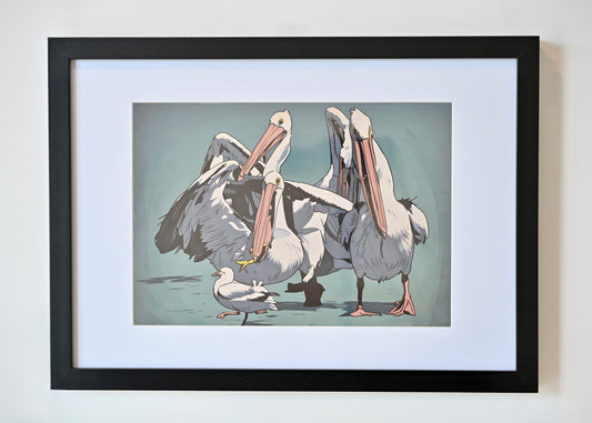 Lunch Rush, the Australian Pelicans