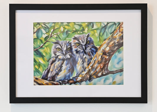 Tawny Twins, the Tawny Frogmouth siblings