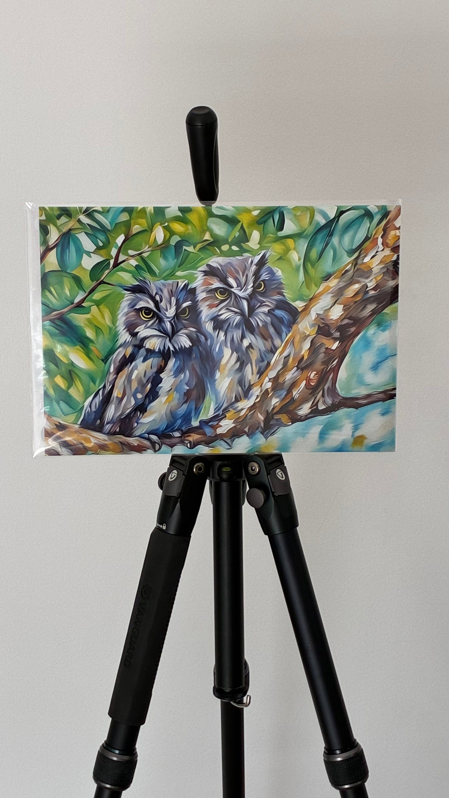 Tawny Twins, the Tawny Frogmouth siblings