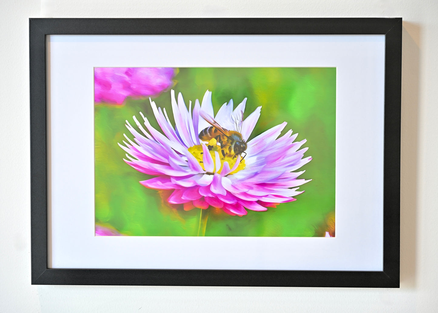 Bee Happy, the Western Honey Bee and Daisy