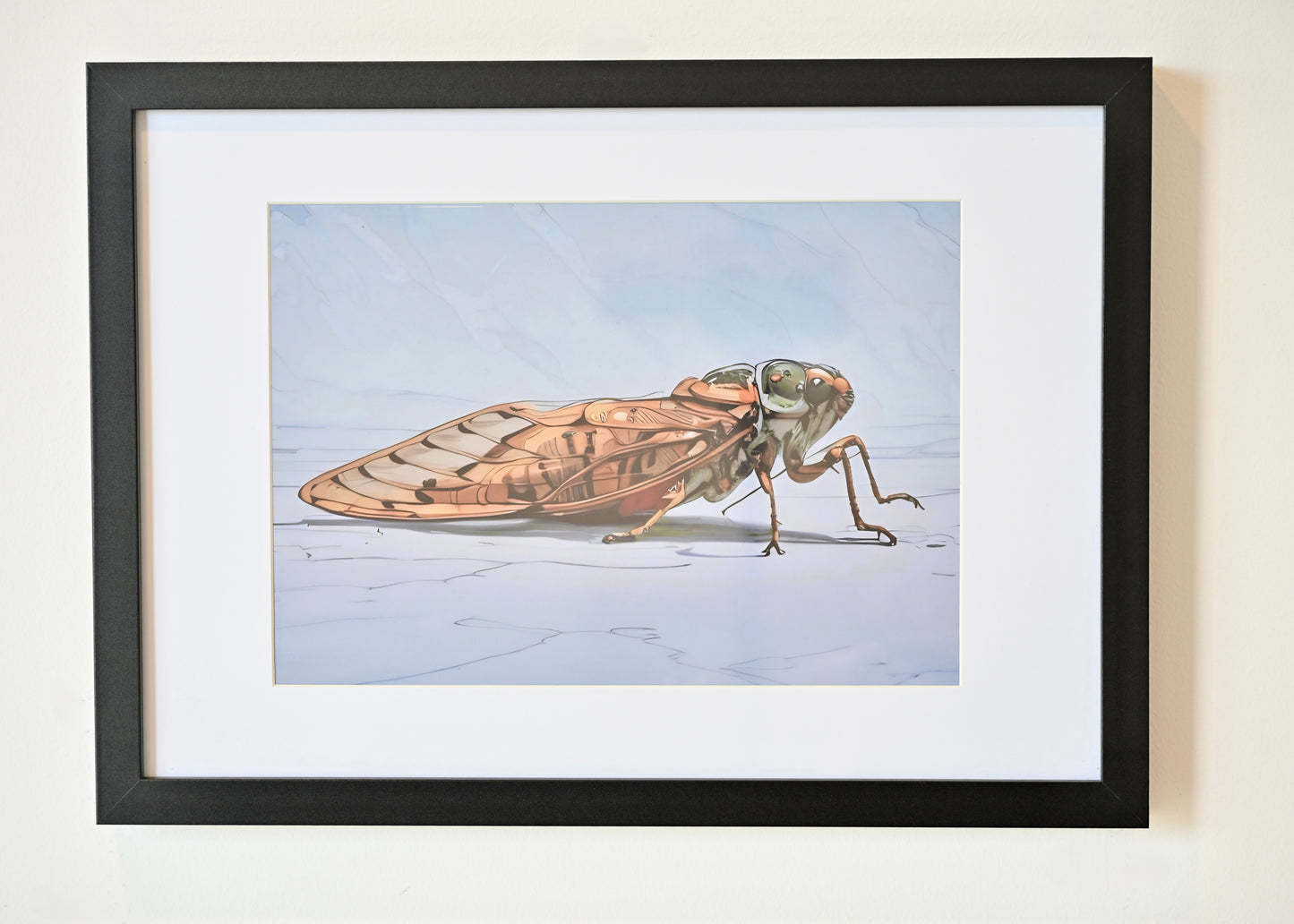 Colin, the Cicada