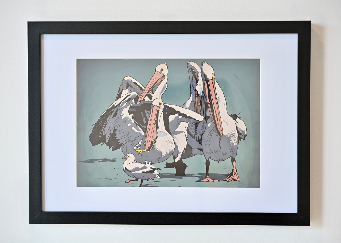 Lunch Rush, the Australian Pelicans