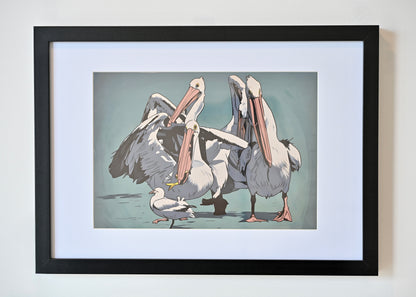 Lunch Rush, the Australian Pelicans