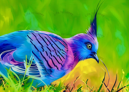 Oliver, the Crested Pigeon