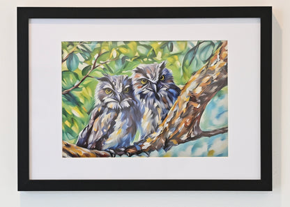 Tawny Twins, the Tawny Frogmouth siblings