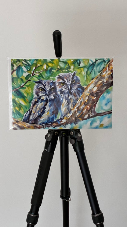 Tawny Twins, the Tawny Frogmouth siblings